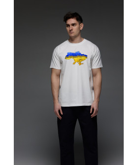 Aspirine men's T-shirt white print "Ukraine"