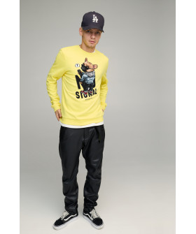 Свитшот мужской BASIC /no flis/