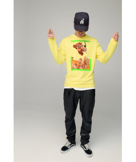 Свитшот мужской BASIC /no flis/