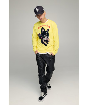 Світшот чоловічий BASIC /no flis/