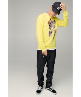 Свитшот мужской BASIC /no flis/