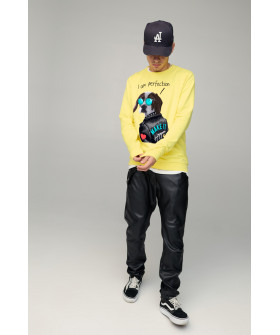 Свитшот мужской BASIC /no flis/