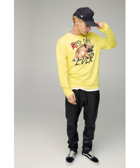 Свитшот мужской BASIC /no flis/