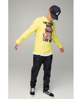 Світшот чоловічий BASIC /no flis/