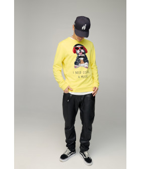 Свитшот мужской BASIC /no flis/