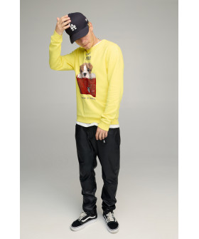 Свитшот мужской BASIC /no flis/