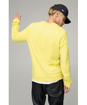 Свитшот мужской BASIC /no flis/