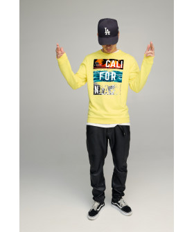 Свитшот мужской BASIC /no flis/