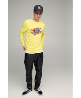 Світшот чоловічий BASIC /no flis/