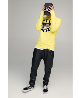 Свитшот мужской BASIC /no flis/