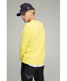 Свитшот мужской BASIC /no flis/