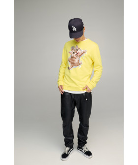 Свитшот мужской BASIC /no flis/