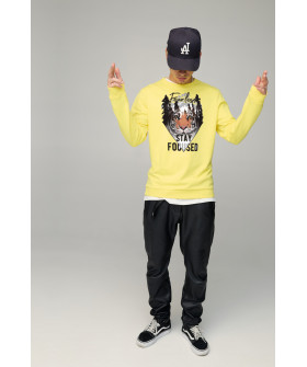 Свитшот мужской BASIC /no flis/