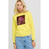 Women's sweatshirt with a print basic /no flis/ 