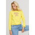 Women's sweatshirt with a print basic /no flis/ 