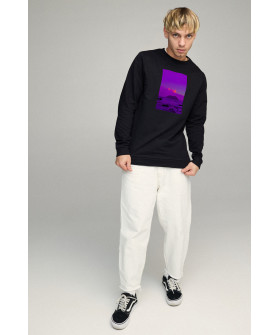 Свитшот мужской BASIC /no flis/