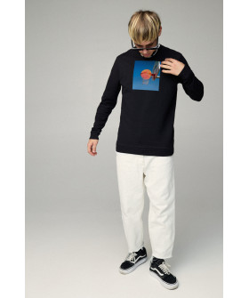 Свитшот мужской BASIC /no flis/