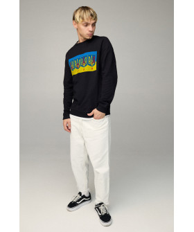 Свитшот мужской BASIC /no flis/