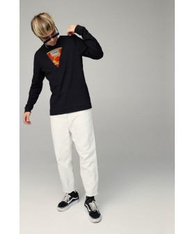 Світшот чоловічий BASIC /no flis/