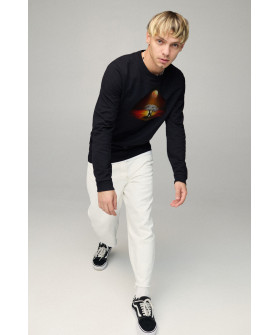 Світшот чоловічий BASIC /no flis/