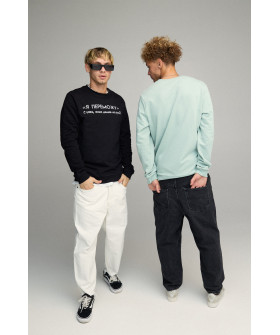 Світшот чоловічий BASIC /no flis/