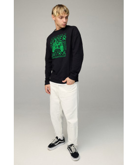 Свитшот мужской BASIC /no flis/