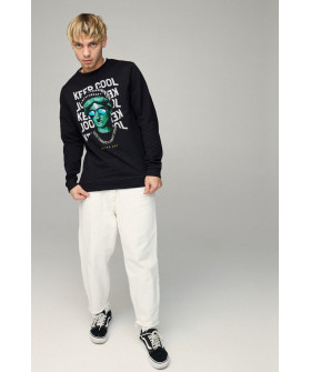 Свитшот мужской BASIC /no flis/