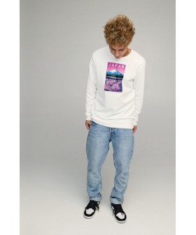 Men's sweatshirt BASIC /no flis/