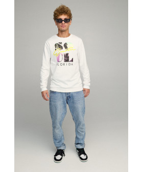 Свитшот мужской BASIC /no flis/