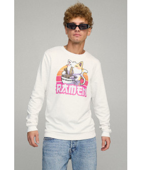 Men's sweatshirt BASIC /no flis/