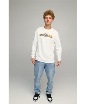 Men's sweatshirt BASIC /no flis/