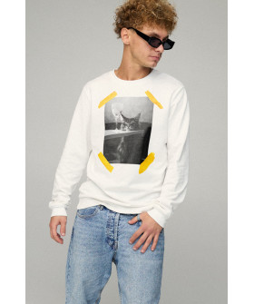 Men's sweatshirt BASIC /no flis/