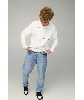 Men's sweatshirt BASIC /no flis/