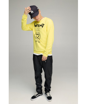 Свитшот мужской BASIC /no flis/