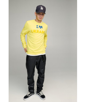 Свитшот мужской BASIC /no flis/