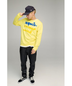 Свитшот мужской BASIC /no flis/