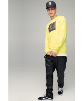 Свитшот мужской BASIC /no flis/