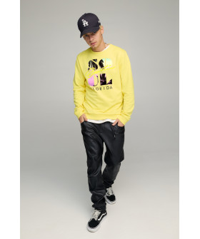 Світшот чоловічий BASIC /no flis/