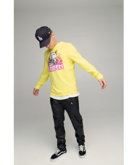 Свитшот мужской BASIC /no flis/