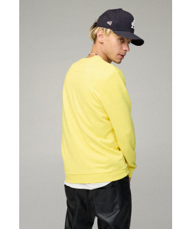 Світшот чоловічий BASIC /no flis/