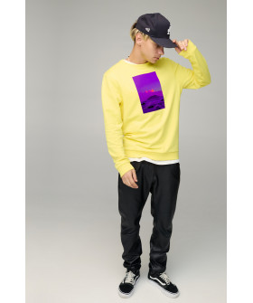 Світшот чоловічий BASIC /no flis/