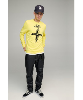 Свитшот мужской BASIC /no flis/