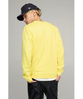 Світшот чоловічий BASIC /no flis/