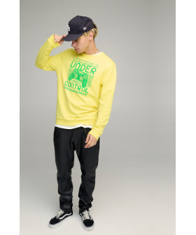 Світшот чоловічий BASIC /no flis/