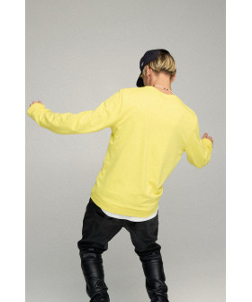 Світшот чоловічий BASIC /no flis/