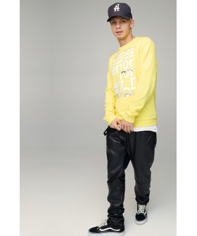 Світшот чоловічий BASIC /no flis/