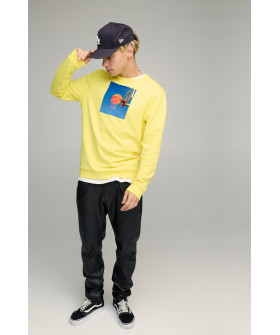 Свитшот мужской BASIC /no flis/