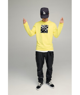 Свитшот мужской BASIC /no flis/