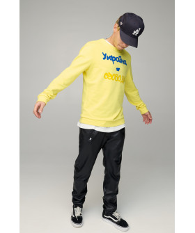 Свитшот мужской BASIC /no flis/