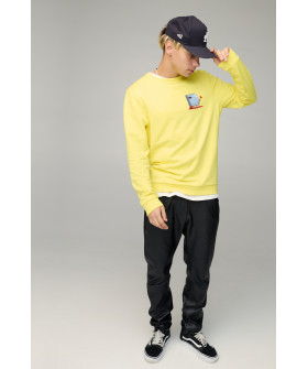 Світшот чоловічий BASIC /no flis/